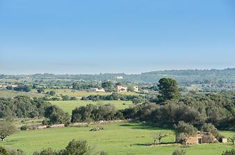 Finca Sa Franquesa Vella: Landschaft um Sa Franquesa Vella