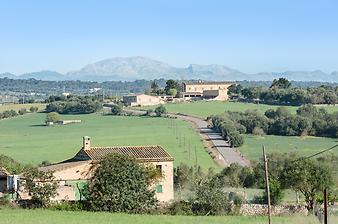 Finca Sa Franquesa Vella: Landschaft um Sa Franquesa Vella