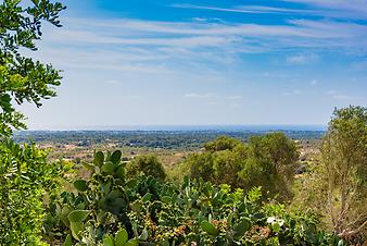 Finca Cas Pages des Pujol: Meerblick