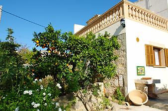 Finca Sa Caseta d'en Tronca: Zitronen im Garten der Finca