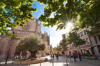 Finca Son Frau: Das Stadtzentrum von Manacor