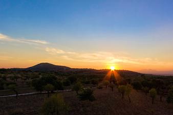 Finca Ses Bitles: Sonnenuntergang