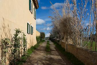 Finca Es Collet: Einfahrt zur Finca Es Collet
