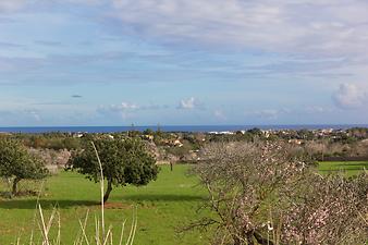 Finca Es Collet: Meerblick auf die Ostküste von Mallorca