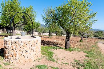 Finca Cas Padrins: Zierbrunnen 