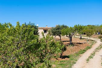 Finca Cas Padrins: Finca Cas Padrins - Mallorca