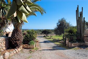 Finca Sa Gruta Vella: Einfahrt zur Finca Sa Gruta Vella