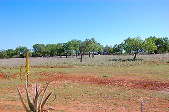 Finca S'Estador: Finca Mallorca