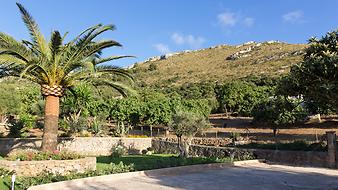 Finca S'Arbocar: Lage