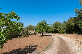 Finca Can Pistola: Einfahrt