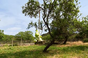 Finca Es Picot: Lukas - unser Maskottchen