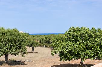 Finca Ca S' Amitger de son Forteza: Meerblick Cala Varques