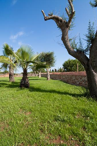 Finca Ca S' Amitger de son Forteza: Garten der Finca