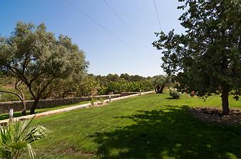Finca S'Arbocar: Ansicht der Finca