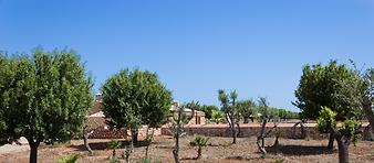 Finca Ca S' Amitger de son Forteza: Weg zur Cala Varques