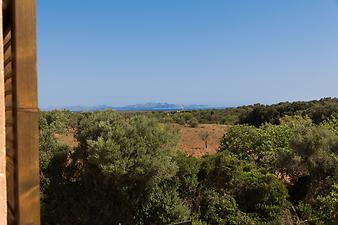 Finca Son Duri Petit: Meerblick