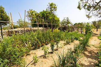 Finca Cas Padri Joan: Finca mit Gemüsegarten