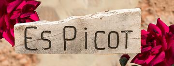 Zurück zur Startseite von Finca Es Picot