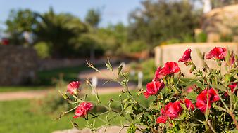 Finca S'Arbocar: Preise