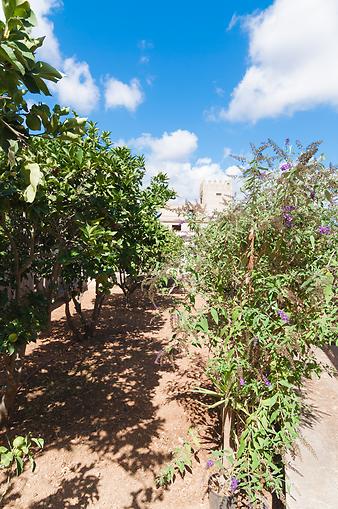 Finca Es Moli d'en Llull: Ansicht der Finca