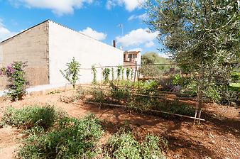 Finca Es Moli d'en Llull: Ansicht der Finca