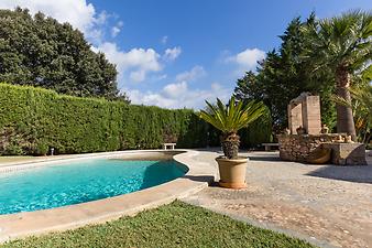 Finca Pepe: Hecke um den Pool