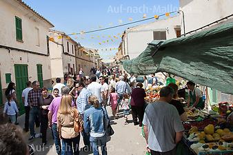 Finca Can Biel: Messe