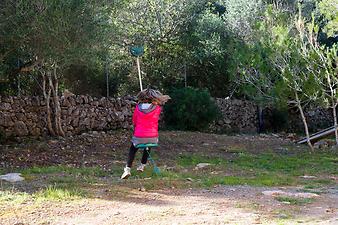 Finca Son Segi: Seilschaukel auf der Finca