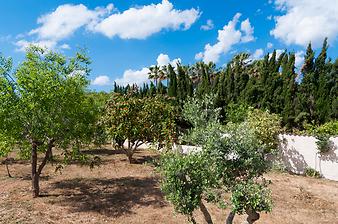 Finca Son Segi: Einfahrt zur Finca