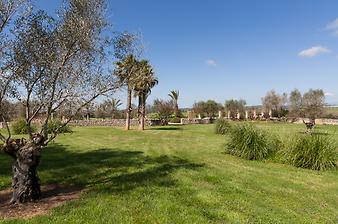 Fincahotel Sa Franquesa Nova: Blick durch den Garten zum Pool