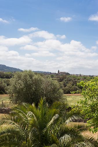 Finca Can Menut: Possessió Mallorquina