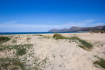 Finca Can Pere Rei: Dünen der Bucht von Alcúdia