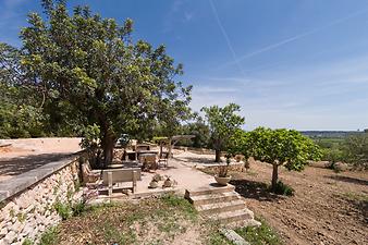 Finca Nines: Finca Nines - Grillplatz