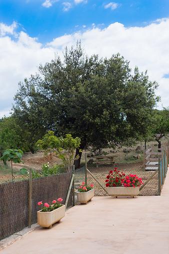 Finca S'Arbocar: Picknick