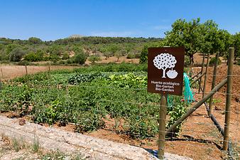 Finca S'Arbocar: Bio-Garten