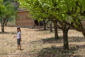 Finca S'Arbocar: Eier sammeln