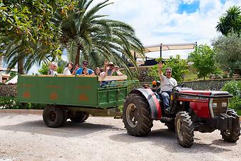 Finca S'Arbocar: Traktorfahrt