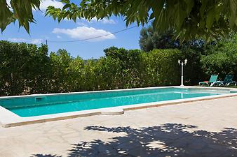 Finca Sa Cova Nova: Der Pool