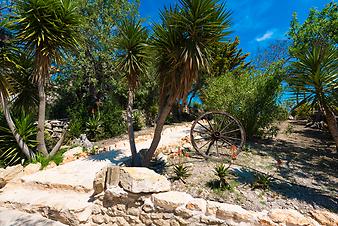 Finca Son Torrat: Garten von Son Torrat