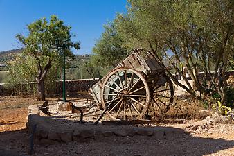 Finca Son Ramell: Wagen im Garten