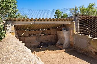 Finca Son Cifre Nou: Siesta auf Son Cifre Nou