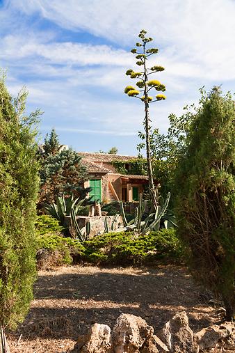 Finca Son Cifre Nou: Garten Son Cifre Nou