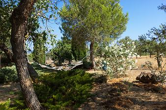 Finca Son Cifre Nou: Hängematte im Garten