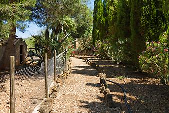 Finca Son Cifre Nou: rosa und weiße Oleander