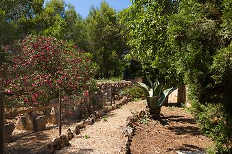 Finca Son Cifre Nou: Der paradiesische Garten 