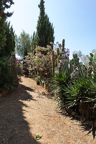 Finca Son Cifre Nou: herrlicher Garten