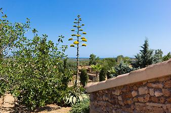 Finca Son Cifre Nou: Meerblick