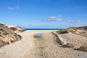 a b: Strand Cala Mesquida