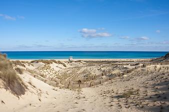 a b: Strand Cala Mesquida