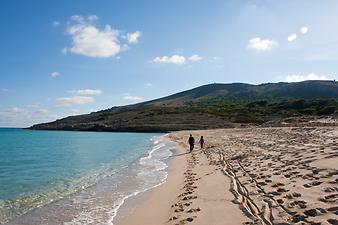 a b: Strand Cala Mesquida
